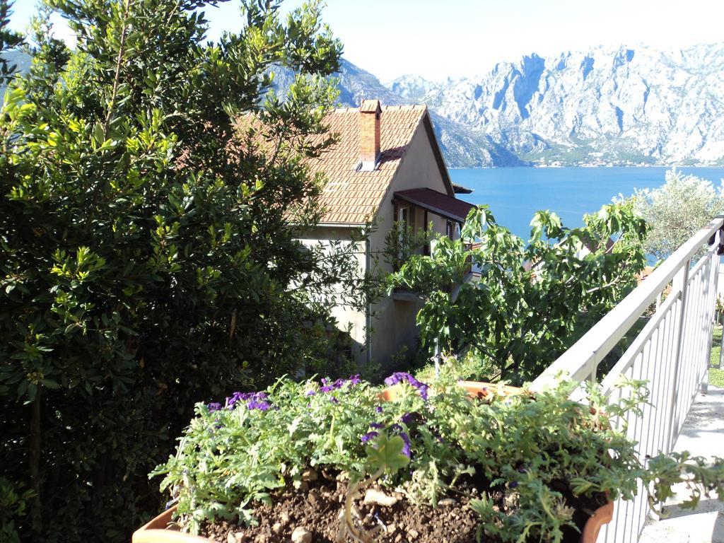 Guest House Pajovic Κότορ Εξωτερικό φωτογραφία