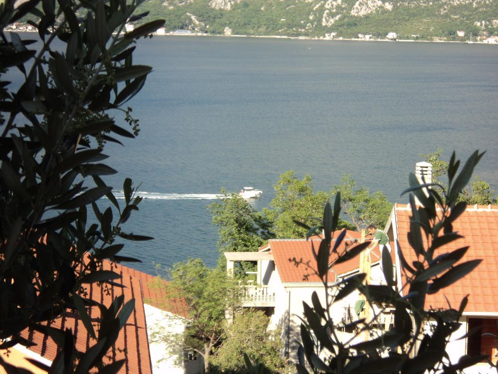 Guest House Pajovic Κότορ Εξωτερικό φωτογραφία