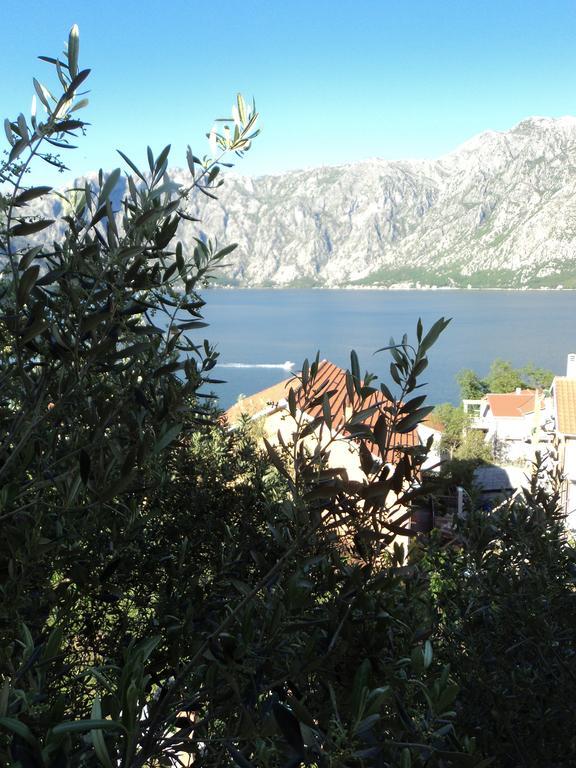 Guest House Pajovic Κότορ Εξωτερικό φωτογραφία